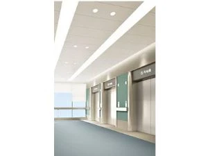 Ascensore del letto di ospedale